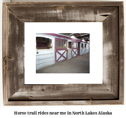 horse trail rides near me in North Lakes, Alaska